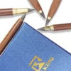 RaylKING Graphite Tip | 8-Pack